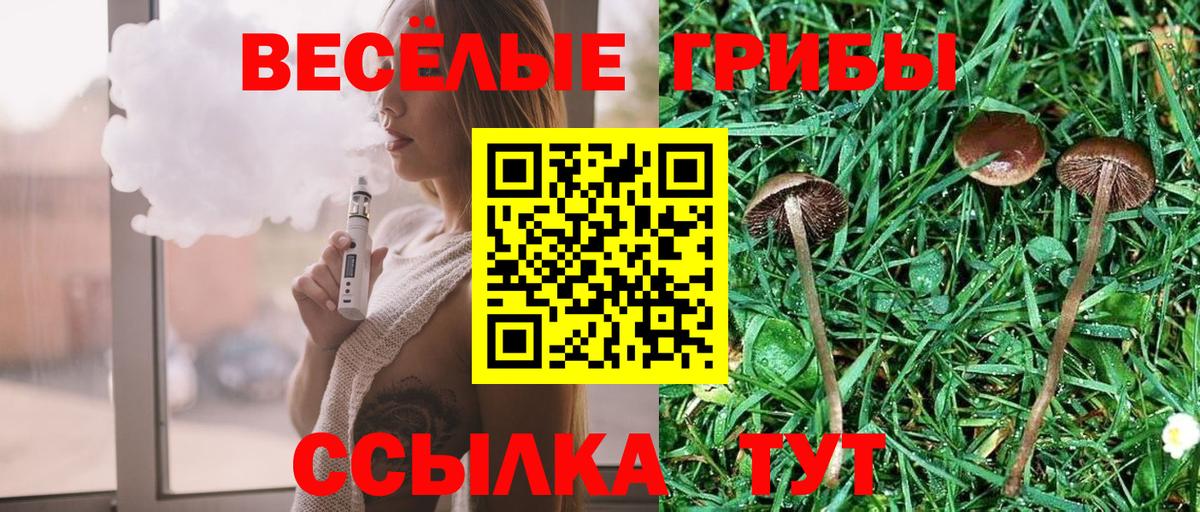 Советская Гавань  Псилоцибиновые грибы Cubensis  Вход с VPN  Галлюциногенные грибы GOLDEN TEACHER 